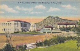 Texas El Paso College Of Mines And Metallurgy Curteich - El Paso