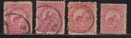 6d X 4 Used, Varities Of Shades & Perforation, Brown Kiwi, New Zealand 1899 Onwards, As Scan - Usados