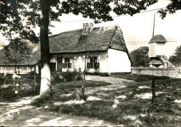 Delcampe - N°52957 GF-cpsm Domaine Provincial De Bokrijk-ancienne Ferme Et Moulin - Windmühlen