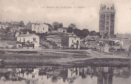 Ag - Cpa OUDON - Les Bords De La Loire - Oudon