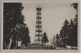 Bachtel-Kulm (1119 M) Aussichtsturm - Animee - Hinwil - Photoglob No. 07721 - Hinwil