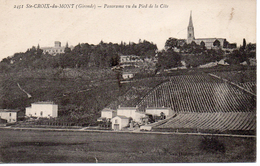 33....GIRONDE...SAINTE..CROIX DU MONT.....VUE GENERALE - Altri & Non Classificati