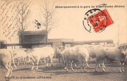 69- VILLEFRANCHE- DEBARQUEMENT A LA GARE DE VILLEFRANCHE, BOEUFS DE LA CARNINE LEFRANCQ - Villefranche-sur-Saone