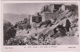 CPSM 9X14 . Maroc . Anti-Atlas . Une Valée De TAFRAOUT - Autres & Non Classés