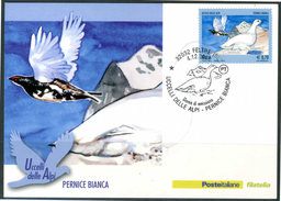 ITALIA / ITALY 2013 - Uccelli Delle Alpi - "Pernice Bianca" - Maximum Card Come Da Scansione - Pernice, Quaglie
