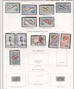 Congo - Collection Vendue Page Par Page - Timbres Neufs **/* - TB - Neufs