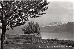 Vevey La Tour De Peilz Et Dents Du Midi - La Tour-de-Peilz