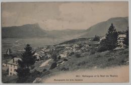 Ballaigues Et La Dent De Vaulion - Photo Des Arts No. 3011 - Chiffre Tax - Vaulion