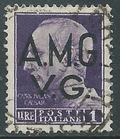 1945-47 TRIESTE AMG VG USATO IMPERIALE 1 LIRA - L25 - Oblitérés