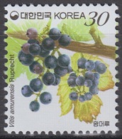 South Korea KPC405 Plant, Amur Grape, Vitis Amurensis, Medicinal Plants, Plantes Médicinales - Plantes Médicinales