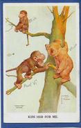 CPA Lawson Wood Singe Monkey Position Humaine Circulé Ours - Wood, Lawson