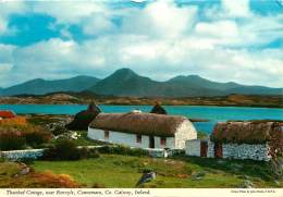 THATCHED COTTAGE    CONNEMARA - Galway