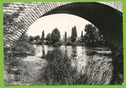 DANGE - Les Bords De La Vienne 1966 Photo Véritable - Dange Saint Romain