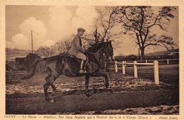 71-CLUNY- LE HARAS- " NATTIER " PUR SANG ANGLAIS PAR " NOUVEL AN " ET " VIERGE BLONDE " - Cluny