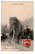 CIRQUE PINDER . M. CURLEY ET SON ELEPHANT PUNCH - Réf. N°918 - - Circo