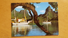 MOOREA LA BAIE D'OPUNOHU Carte Postale Neuve Années 70 Très Bon état Dos Partagé - Polynésie Française