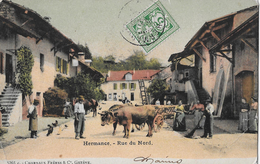 HERMANCE → Rue Du Nord Mit Ochsengespann Und Vielen Dorfbewohner Anno 1905 - Hermance