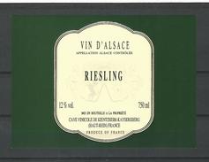 ALSACE VIN  RIESLING  CAVE KIENTZHEIM-KAYSERSBERG   NEUF QUALITÉ - Riesling