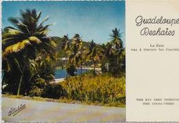 CPSM 9 X 14 Guadeloupe Colonies Françaises écrite éditeur CANDALEN N° 9 - Pointe A Pitre