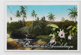 CPSM 9 X 14 Guadeloupe Colonies Françaises écrite éditeur CANDALEN N° M8 - Pointe A Pitre