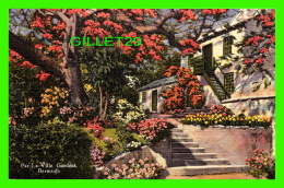 BERMUDES - PAR-LA-VILLE GARDENS, BERMUDA -  No 224  - YANKEE STORE - - Bermuda