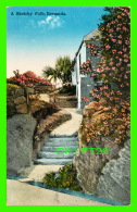 BERMUDES - A SKETCHY PATH,  BERMUDA -  No 120 - THE YANKEE STORE & BERMUDA DRUG CO - - Bermuda