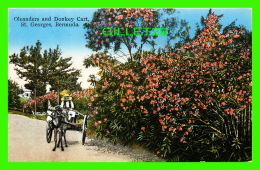 BERMUDES - OLEANDERS & DONKEY CART, ST GEORGE'S,  BERMUDA -  No 21 - THE HERRINGTON CO - - Bermuda