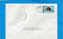 MARCOPHILIE-COMORES -lettre-cad 1974-MUTSAMUDU - Stamps N°75coquillage-nerita - Covers & Documents