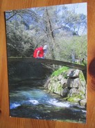 Lucy + Jorge Orta, Ubelka, La Fee Du Pont, Le Chemin Des Fees, 2013 Sculpture - Auriol