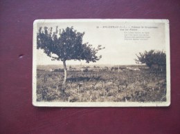 Carte Postale Ancienne De Bouguenais: Côteaux De Bouguenais, Vue Sur Nantes - Bouguenais