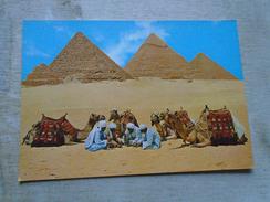 D148288  Egypt - Giza -Rest Near Pyramids - Camels -Répos  Pres Des Pyramides- Chameaux - Pyramids