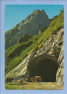 Flamme De Laruns (64-Pyrénées-Atlantiques) Route Du Col D'Aubisque Le Tunnel Le Grand Gabizo 2 Scans 16/07/1980 Vaches - Laruns