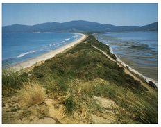 (504) Australia - TAS - Bruny Island - The Neck - Wilderness