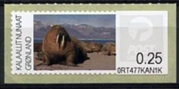 GREENLAND (2011) - Fauna - Morse / Walrus / Walross / Hvalros/ Morsa - Odobenus Rosmarus (M037) - Timbres De Distributeurs
