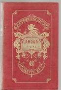 Amour Fillial Récits De La Jeunesse De Théodore H. Barrau Edition Hachette Bliothèque Rose Illustrée De 1889 - Bibliothèque Rose