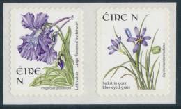 IRELAND/Irland/Eire 2004-2010 Definitive Adhesive N (55c) Pair Ex Booklet** - Unused Stamps