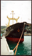 ANTARCTIC,ITALIA, KODAK Original Color-Photo, 17,5 X 10,00 Cm"MS ITALICA" In Port  !! 3.4-14 - Antarctische Expedities