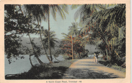 ¤¤   -  TRINIDAD   -  A Nord Coast Road   -  ¤¤ - Trinidad