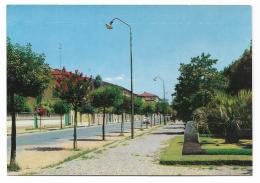 EMPOLI VIALE BUOZZI E PARCO DELLA RIMEMBRANZA  NV FG - Empoli