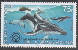 Nelle CALEDONIE - Faune - Patrimoine Mondial - Zone Du Grand Lagon Sud : Baleines à Bosse (Megaptera Novaengliae) - Neufs