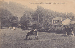 Vaux-sous-Chèvremont - L'Ile Vue Du Pont (animé, Vaches, Edit Ludewyck) - Chaudfontaine