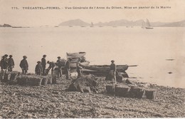 29 - TREGASTEL - PRIMEL - Vue Générale De L' Anse De Diben  Mise En Panier De La Marée - Primel