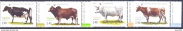 2015. Ukraine, Cows,Mich.1491-94, 4v, Mint/** - Ucrania