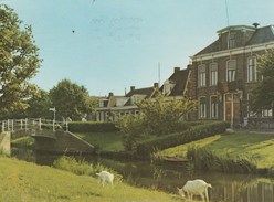 Staveren, Gemeentehuis (PAYS BAS) - Stavoren