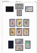 Comores - Collection Vendue Page Par Page - Timbres Neufs */** / Oblitérés - B/TB - Oblitérés