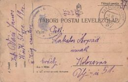 WARFIELD POSTCARD, WW1, INFANTRY REGIMENT NR 51, CENSORED  WPO NR 37, 1916, HUNGARY - Lettres & Documents