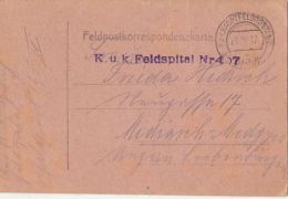 WARFIELD POSTCARD, WW1, MILITARY HOSPITAL NR 407, CENSORED WPO 195, 1917, HUNGARY - Lettres & Documents