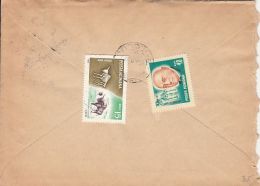STEPPE BISON, WINSENT, GRIGORE ANTIPA, STAMPS ON COVER, 1968, ROMANIA - Lettres & Documents