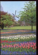 CPM Neuve Pays Bas LISSE Keukenhof - Lisse