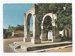 Vaucluse - 84 - Cavaillon L'arc De Triomphe Ruine Romaine - Cavaillon